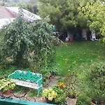 Le Jardin Des Merveilles