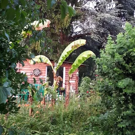 Homestay Le Jardin Des Merveilles Saint-Pierre-d'Autils