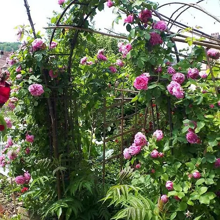 Le Jardin Des Merveilles Quarto em Acomodações Particulares