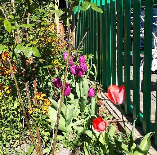 Le Jardin Des Merveilles Saint-Pierre-d'Autils